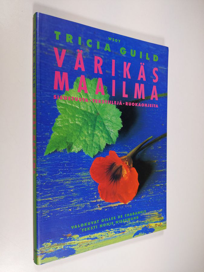 Gilles de Chabaneix : Tricia Guild : värikäs maailma