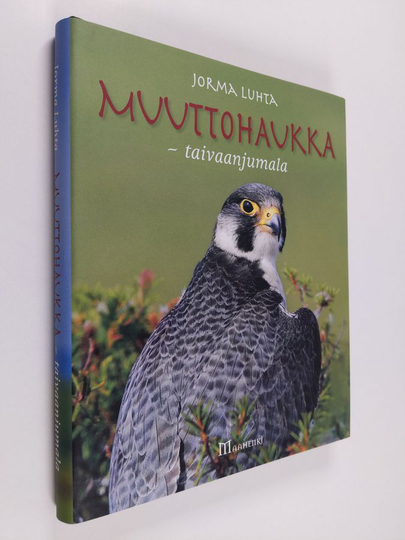 Jorma Luhta : Muuttohaukka : taivaanjumala