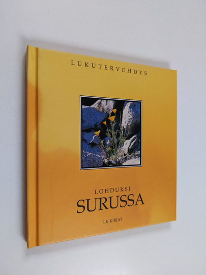 Lohduksi surussa